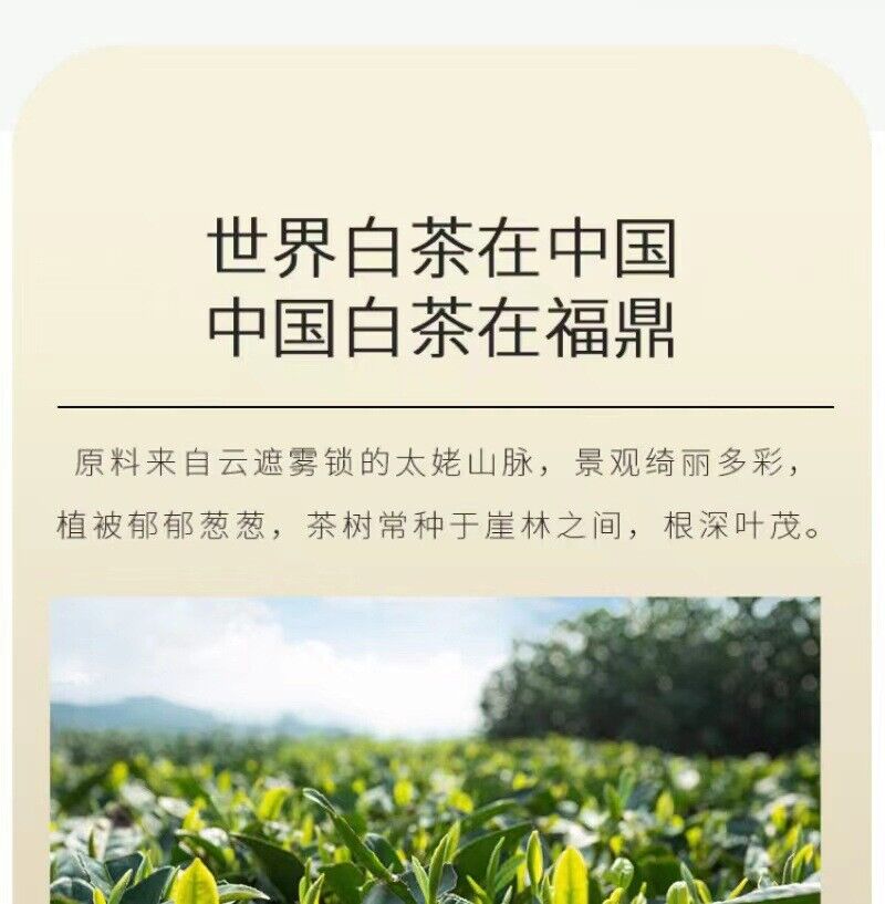 HelloYoung 500g Fuding alpine white tea cake white peony king tea small square cookie tea