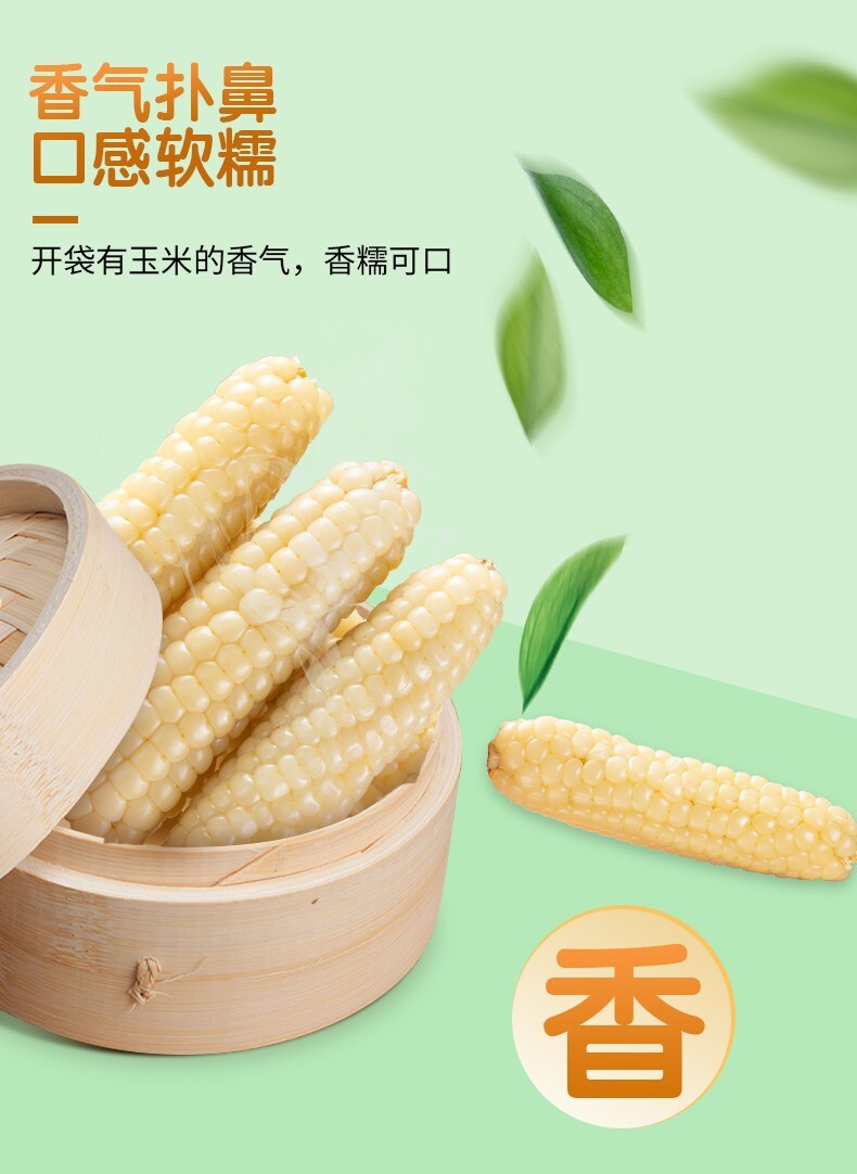 Yunnan Xishuangbanna Thumb Corn – Grade A Sticky Dai Specialty (500g)
