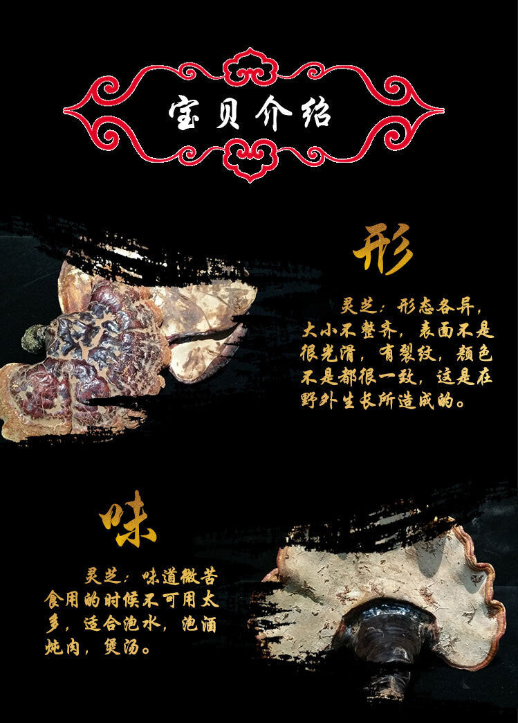 Black and Purple Reishi Mushroom Gift Box Whole Stem Ginseng