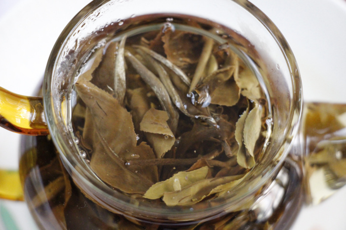 HelloYoung 500g Yunnan White Tea Moonlight White Dragon Pearl Stripe Handcrafted Tea