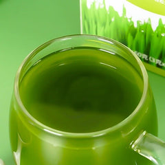 Organic Young Barley Grass BARLEYGRASS Powder Weight Loss Green Superfood Detox