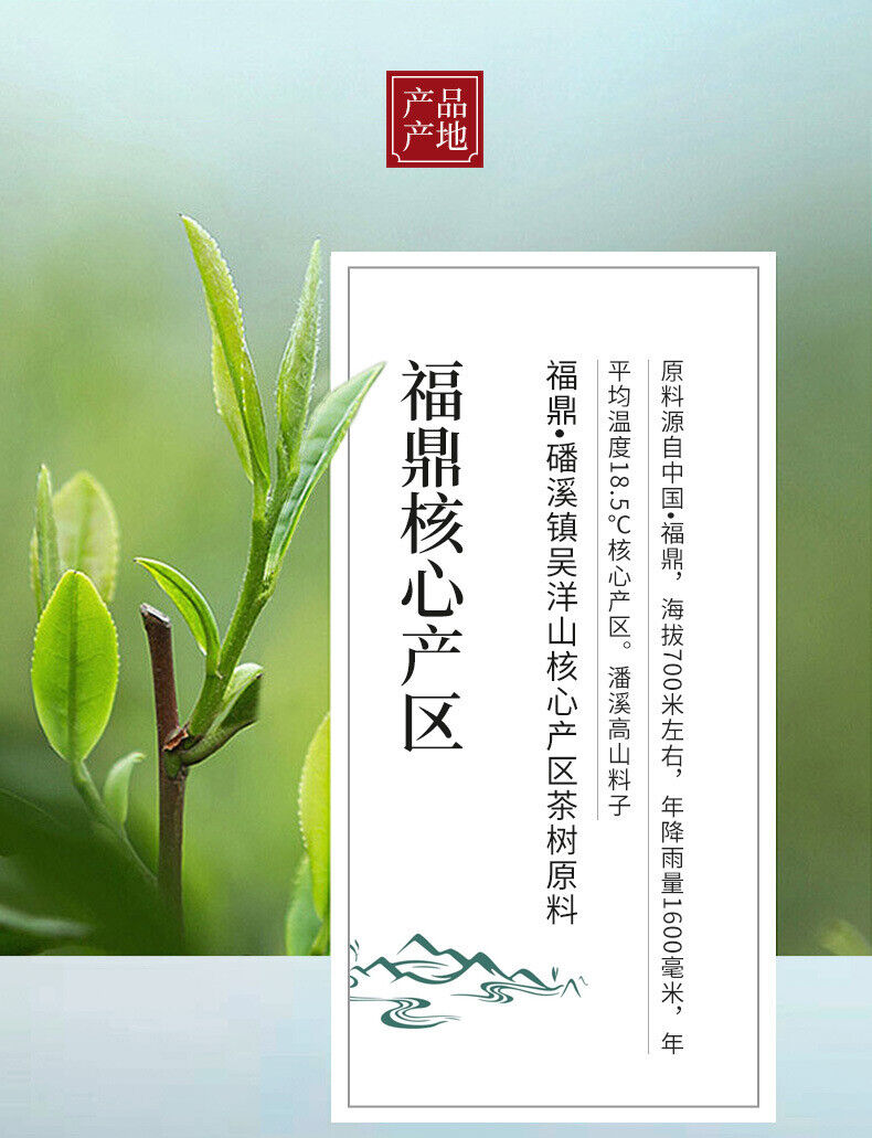 HelloYoung 350g Fuding White Tea Panxi Gongmei Shoumei Gaoshan Sunshine Old White Tea Cake