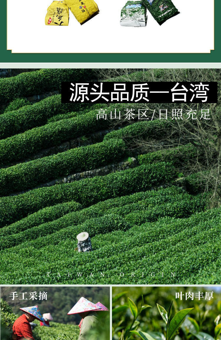 Oolong Tea Taiwan High Mountain Tea Frozen Top Pear Mountain High Cold Tea