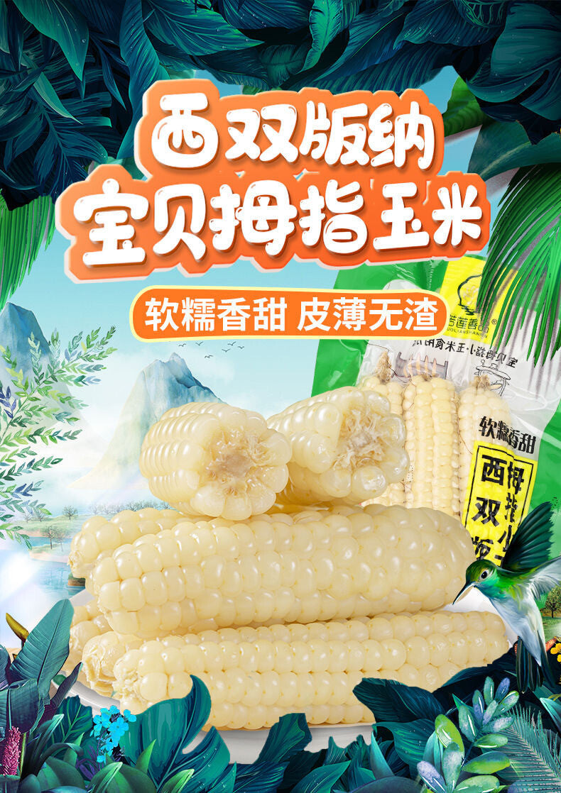 Xishuangbanna Mini Sweet Corn – Vacuum-Packed Pearl Snack