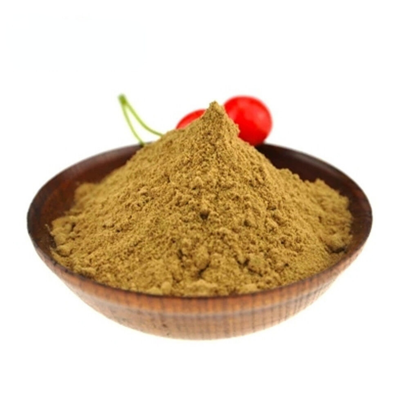 500g Top Grade Herbal Powder 100% Pure Rhodiola rosea root Powder