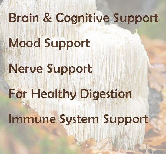 Lion's Mane Organic Mushroom Powder 5.92oz