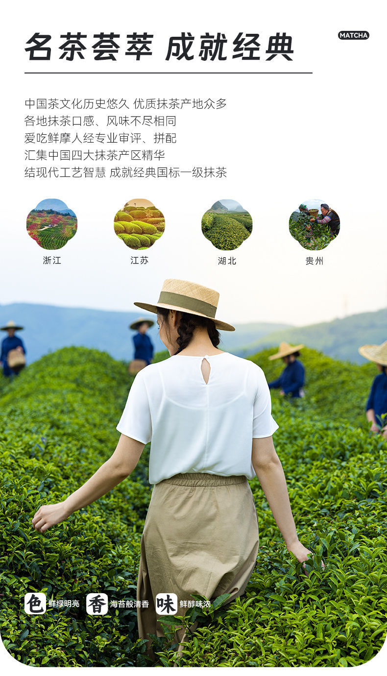 100g Drink for Tea Baking and Milk Tea Shops Pure Matcha Powder Instant