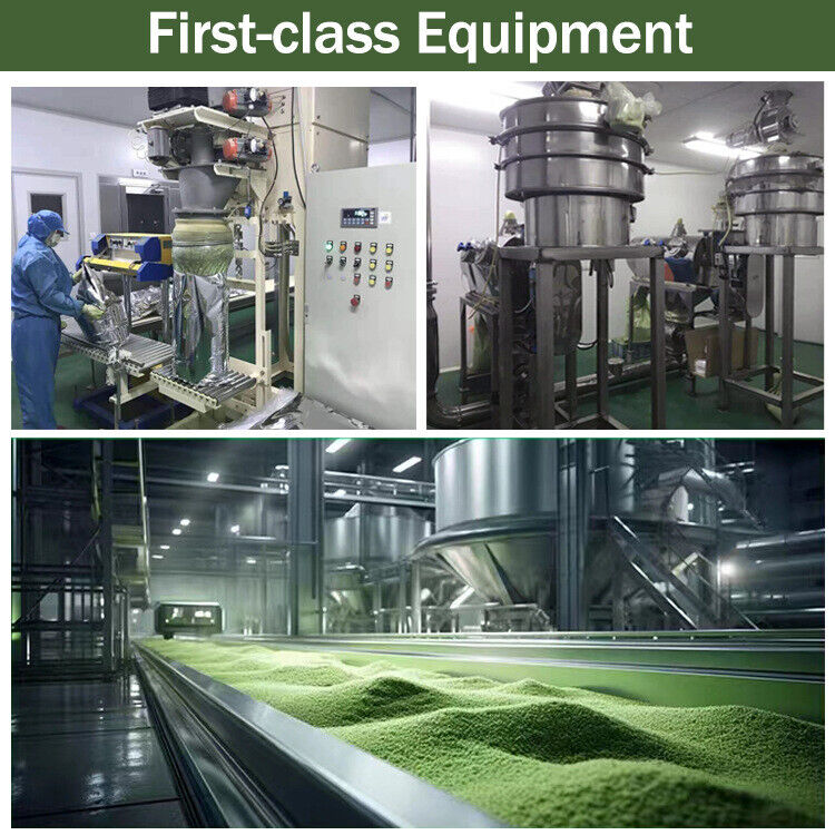100% Pure Natural AMAZING Barley Grass Powder Organic Healthy Drink