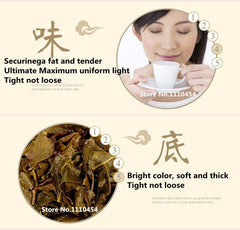 HelloYoung 250g  Green Tea Natural Organic Top Grade Tieguanyin Tea Oolong Tea Gift Package