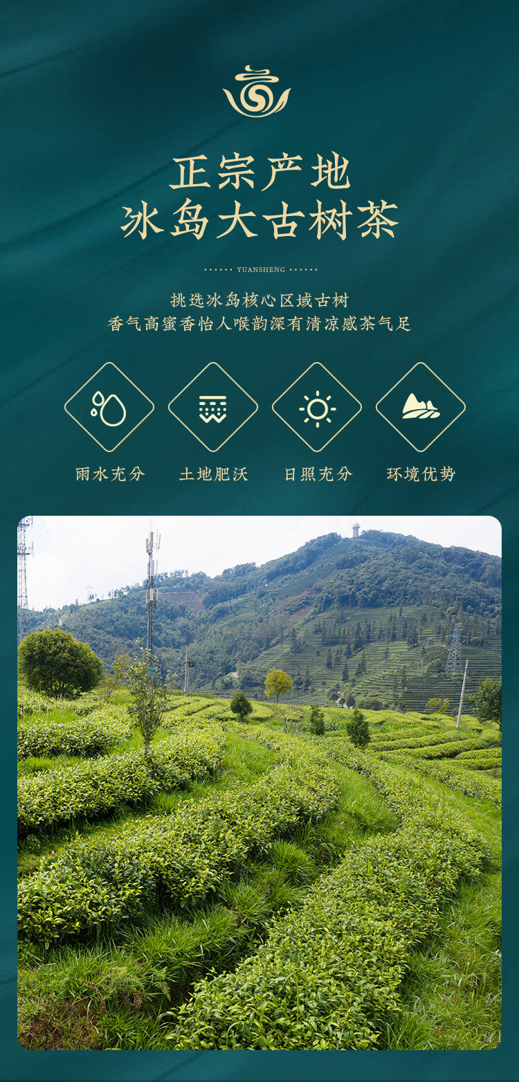 Organic Puerh Iceland Old Village Iceland 500g Raw Tea Brick