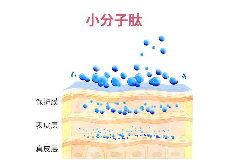 Collagen peptide small molecule peptide fish collagen peptide powder 3g*20 bags