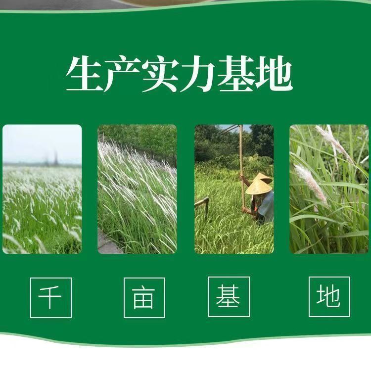 White Tomato Extract Powder 99% Concentrated Natural White Tomato Powder