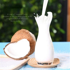 HelloYoung Chinese Coconut Water Freeze Dried Powder Natural Organic Fruit Powder 340g/bag