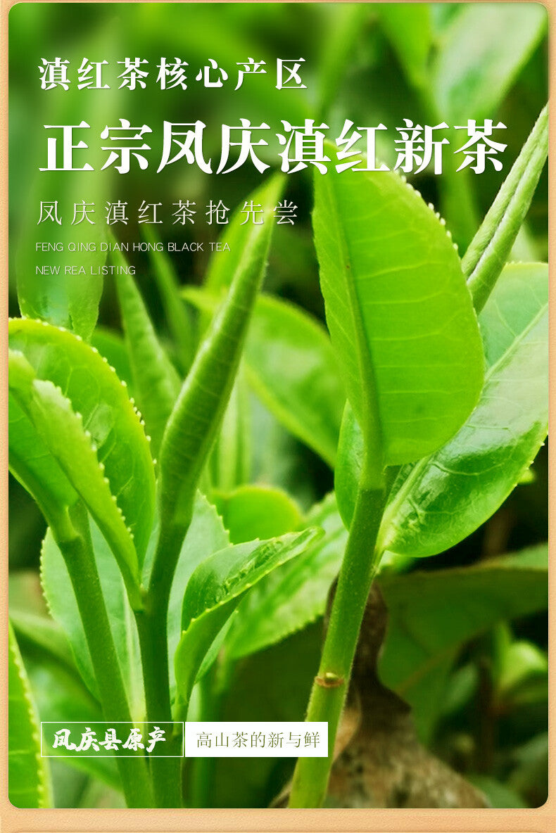 2025 Yunnan High Mountain Black Tea Rich Flavor Milk Tea Ingredient