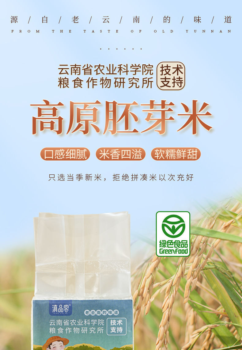 Germinated Unpolished Pearl Rice – Vacuum Sealed Green Food for Porridge