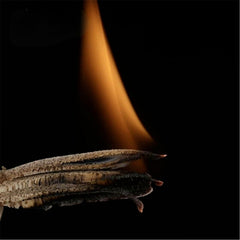 100g Grade Agarwood Oudh Chips India incense Sella