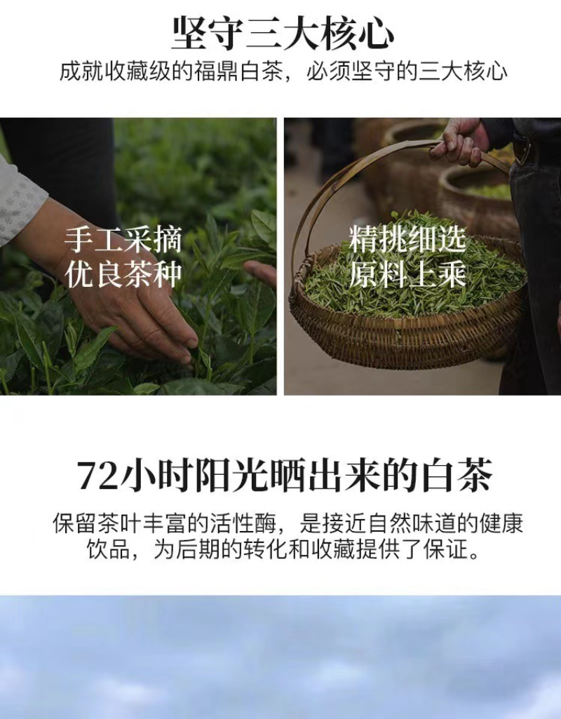 HelloYoung 350g Fuding high mountain white tea aged day sun old tea cake gongmei shoumei