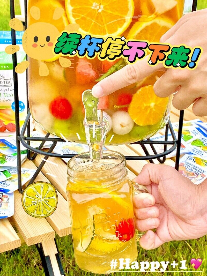 Cold Brew Fruit Tea Tasting Pack of 3 Flavors 6 Packs