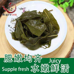 HelloYoung New Fresh Taiwanese Oolong Tea Alishan Good Quality Wu Long Cha 300g