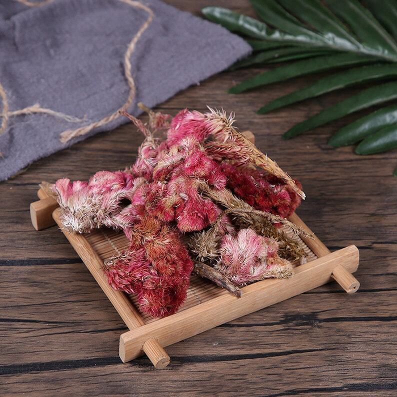 Organic Herbal Red Cockscomb Flower Flos Celosiae Cristatae Ji Guan Hua