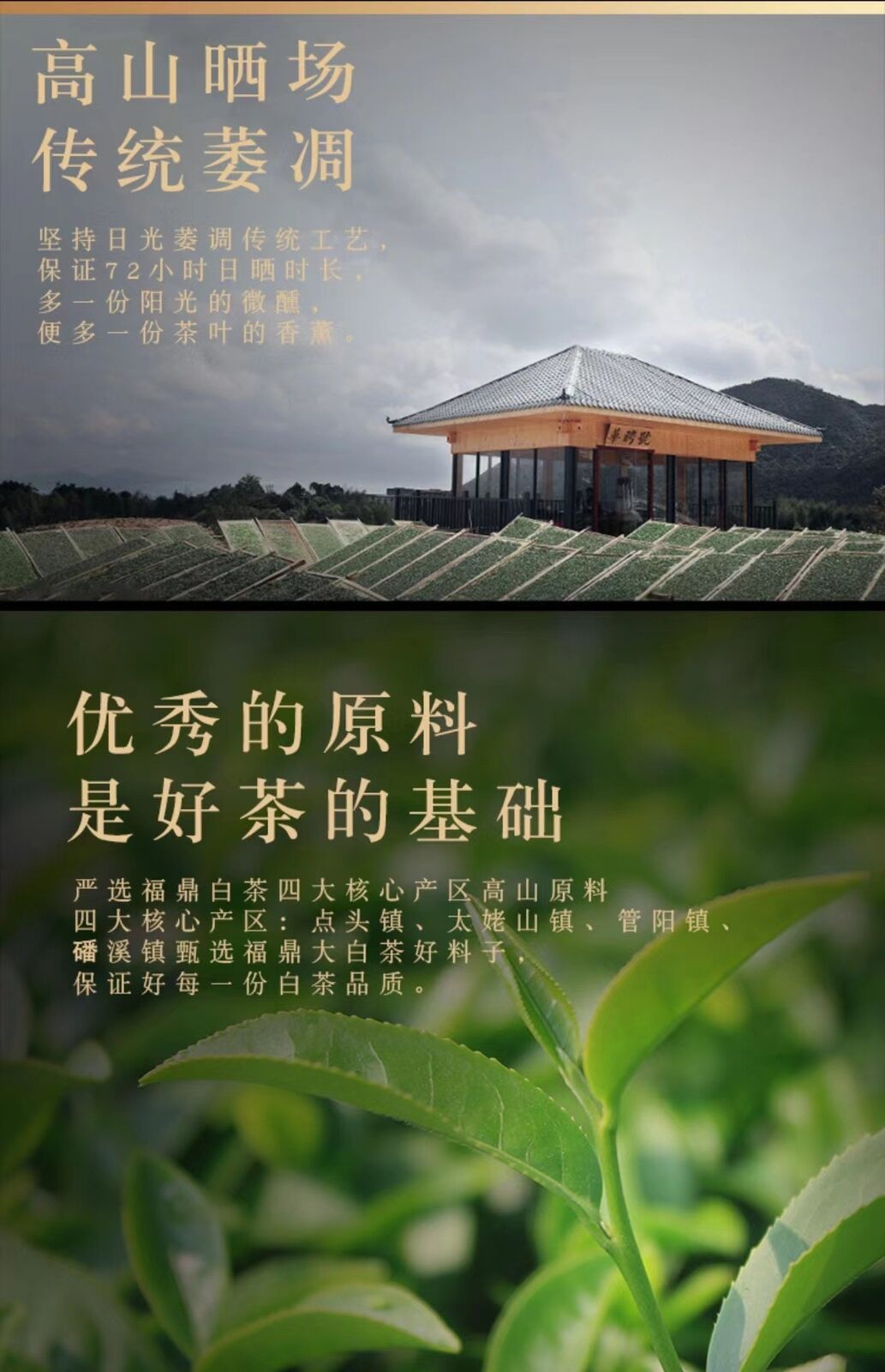 HelloYoung 350g Fuding high mountain white tea sun aged white tea gongmei date fragrance