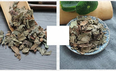 Yu Xing Cao/鱼腥草/어성초 /Harvested Dried Loose Leaves /Houttuynia Cordata Tea