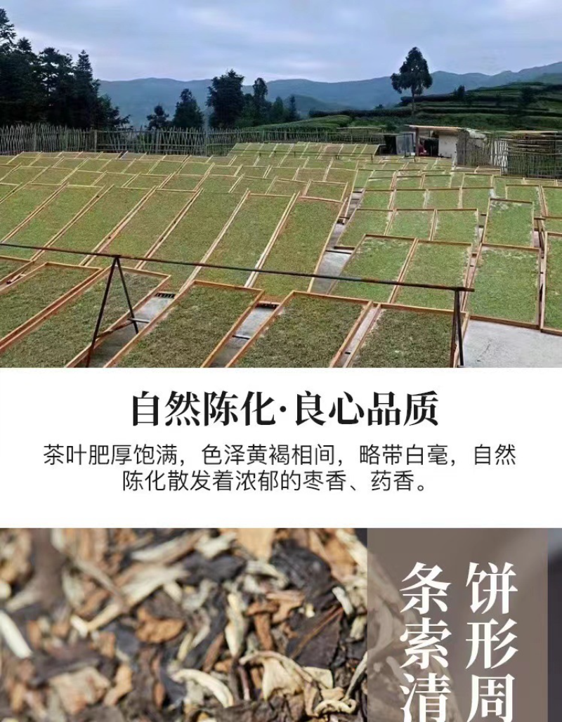 HelloYoung 350g Fuding high mountain white tea aged day sun old tea cake gongmei shoumei