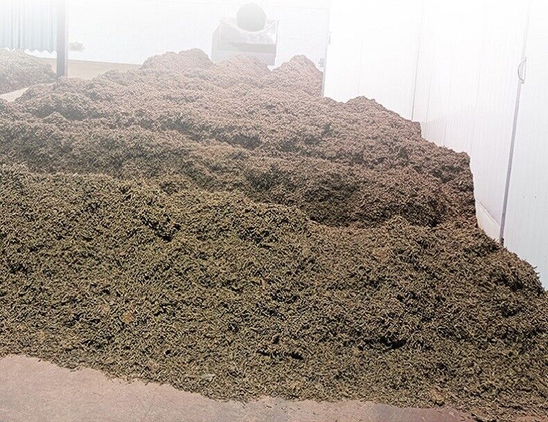 500g Pu-erh Tea Premium Old Tea Head Ripe Tea Crushed Silver Ripe PuErh Aged Tea