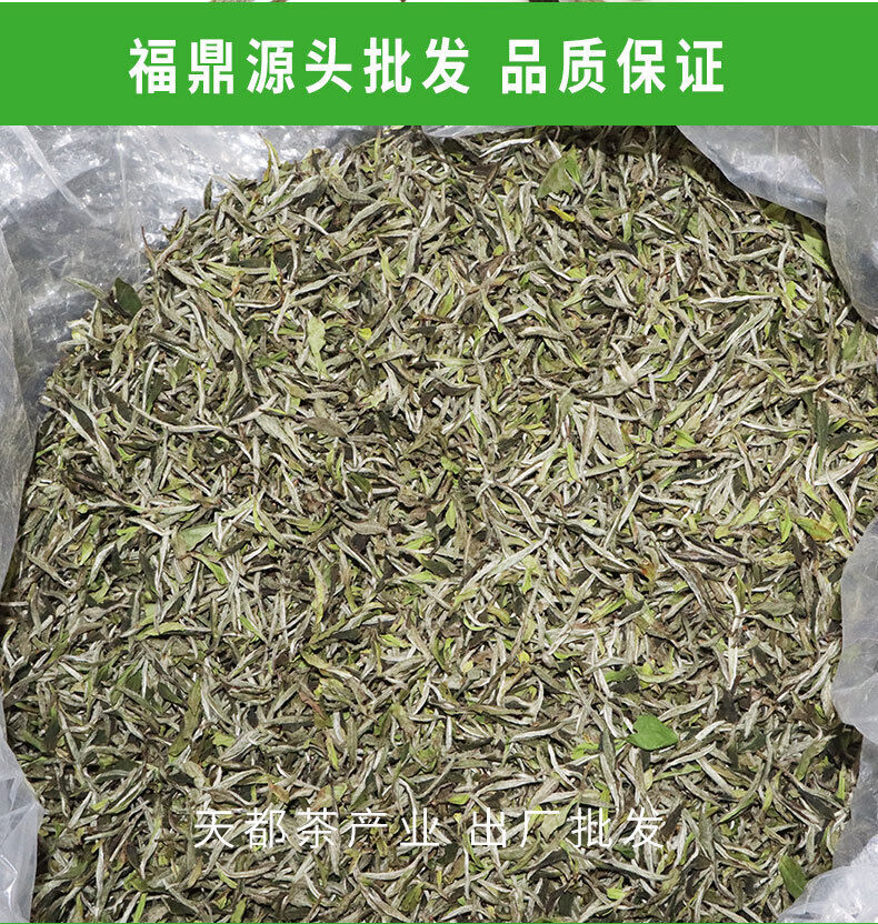 HelloYoung 500g Fuding white tea white peony king loose tea Panxi Ming Qian tea