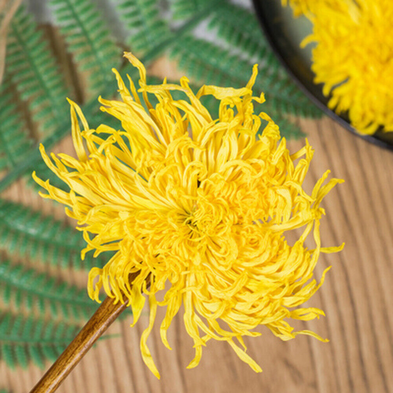 A Big Blooming tea 100pc Emperor Chrysanthemum Flower Tea bag,Giant Golden JU HU