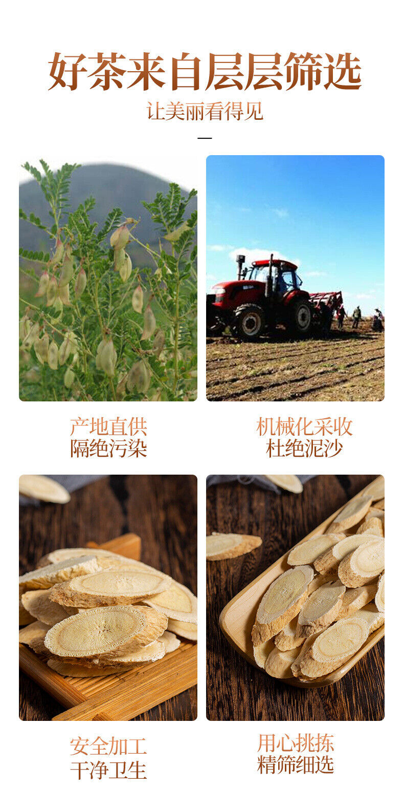 110g Astragalus Quality Hand-selected Chinese Herbal Medicine Astragalus Slices