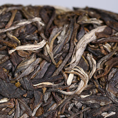 Haiwan High Mountain Ancient Tree  Old Comrade Batch 191 500g  Puer Tea