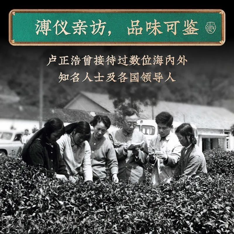 Chrysanthemum Tea Dried Chrysanthemum Tea Leaves Deflame Herbal Tea 150g