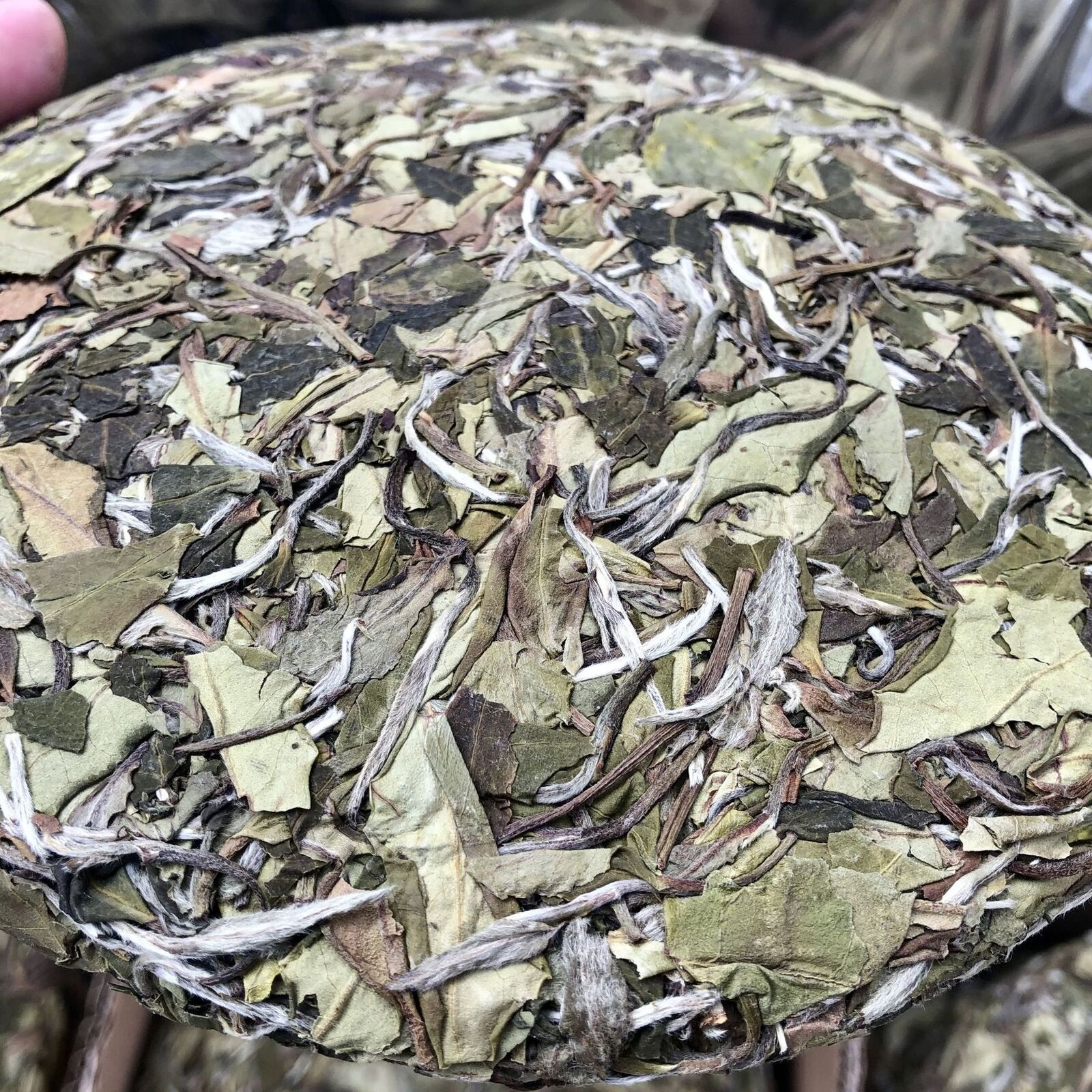 HelloYoung White Tea Barren Mountain Sun Tea Cake White Peony Tea Spring Tea Cake 350g