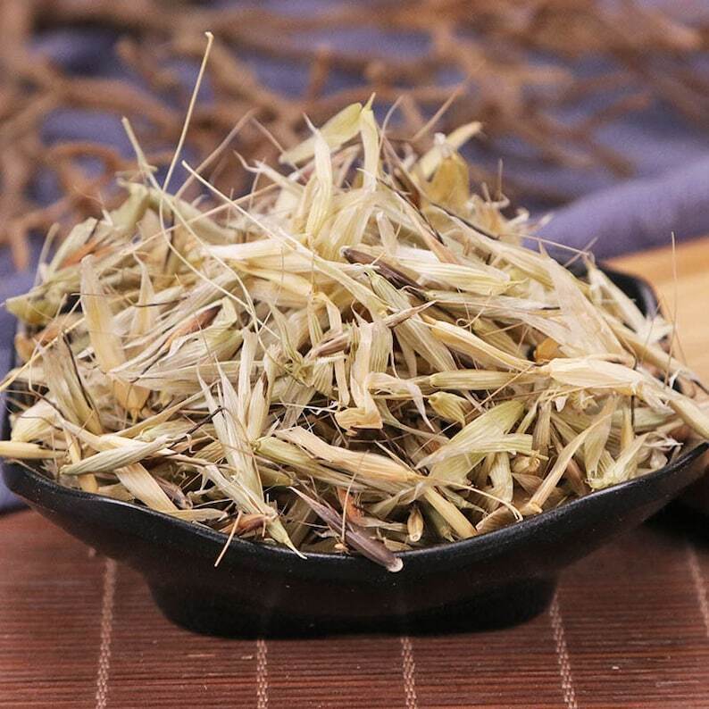 Avena Fatua Yan Mai Cao Premium Organic Herbal Grande Qualité