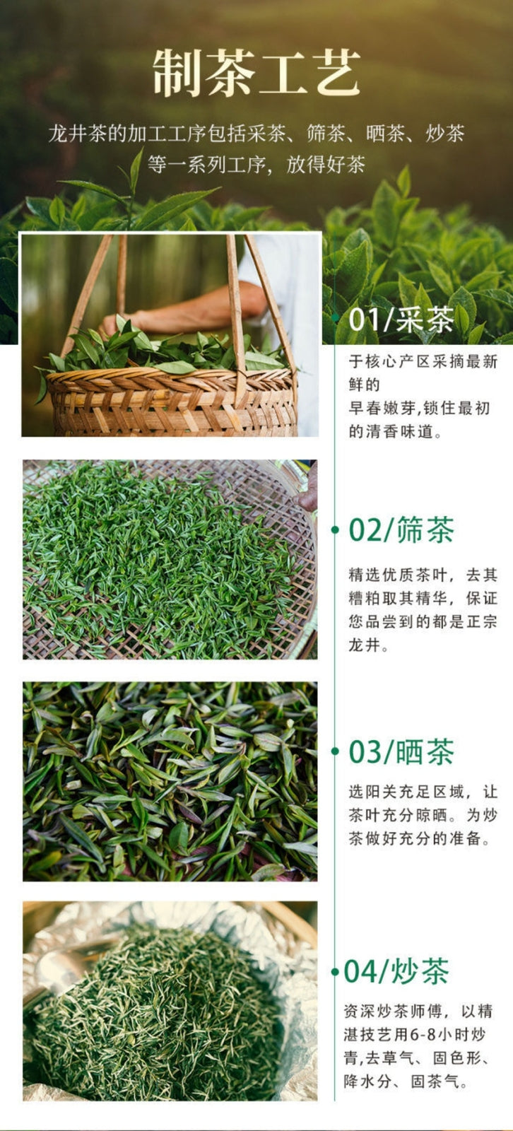 Premium Longjing Tea 2025 Fresh Authentic Pre Rain Dragon Well Fragrant