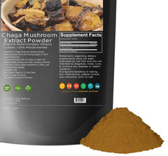Chaga Mushroom Powder Non GMO 3.53oz Pure Extract