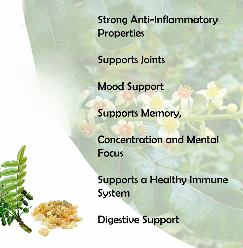 Boswellia Serrata Extract 17.6 oz