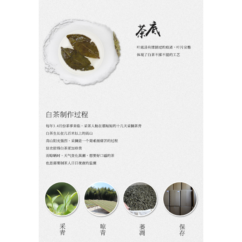 Alpine Wilderness Old Ancient Tree Gold Leaf Old White Tea Fuding White Tea 300g
