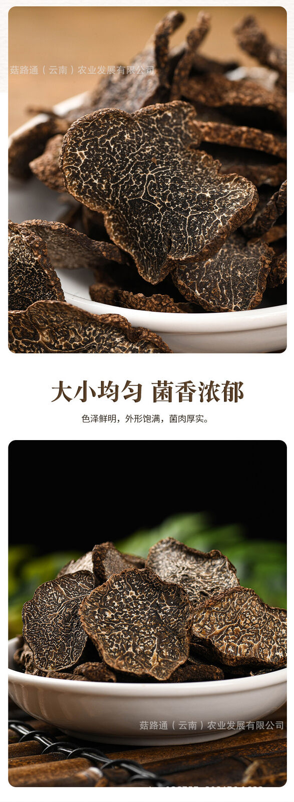 Organic Black Truffle Tablets in Bottles Black Truffle Dry Tablets 50g
