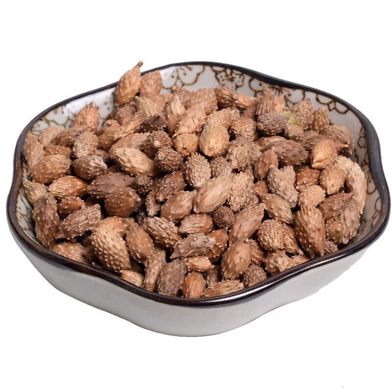 Cang Er Zi Top Sale Siberian Cocklebur Fruit / Xanthium Sibiricum Herbs 250g