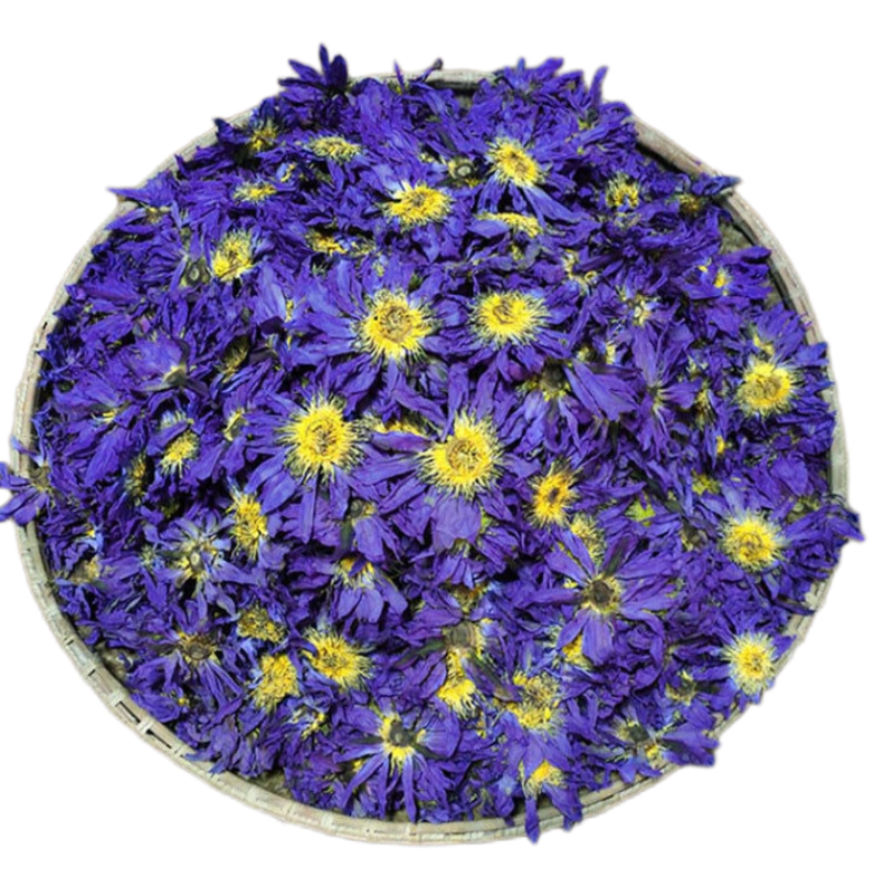 Dried Loose Blue Lotus Flower Herbal Tea 100g Nymphaea Caerulea Savigny