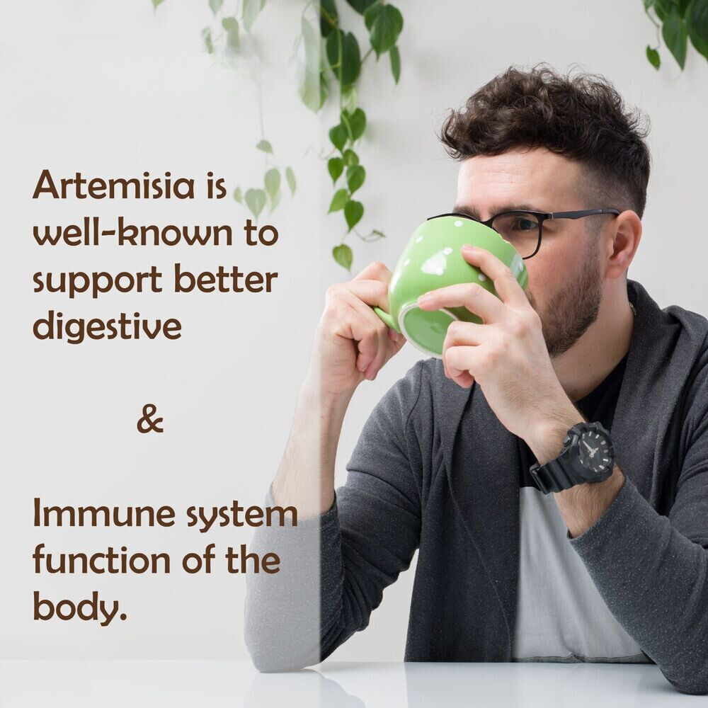 Artemisia Powder 8.8 oz | Wormwood Powder | Artemisia Annua | Non-Gmo