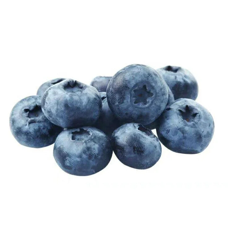 100% Pure Blueberry Fruit Powder Concentrate Powder Blueberry Juice Powder