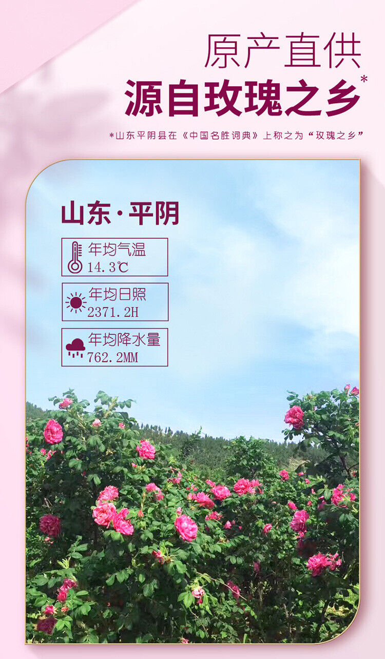 Authentic Rose Tea High Grade Dried Rose Fragrance Herb Tea Bag 100g