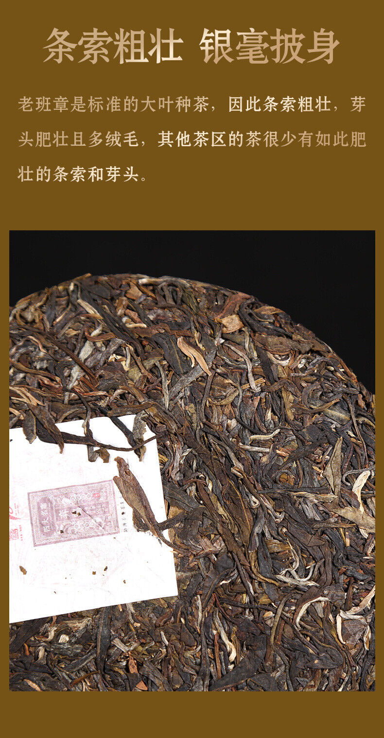 Spring Tea Banzhang Aged Tea Puerh Tea Raw Tea 357g Seventh Cake Tea