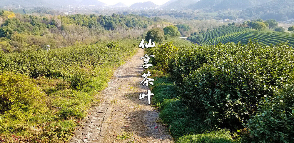 HelloYoung Longjing New Green Tea Strong Fragrance Labor Spring Ration Tea 500g/1.1lb