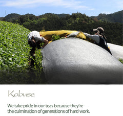 Kabuse Japanese Tea Japan - Kabusecha Between Sencha and Gyokuro Green Tea 50g