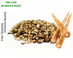 ORGANIC 250 Gram DRIED HERB BURDOCK ROOT - Arctium lappa - FREE POSTAGE