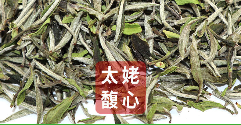 HelloYoung 500g Fuding white tea white peony king loose tea Panxi Ming Qian tea